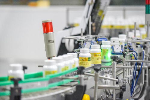 走進新國企探索新實踐 從科技賦能到創新服務的綠色發展路徑